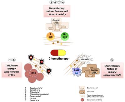 Editorial: The effects of chemotherapy towards the tumor microenvironment